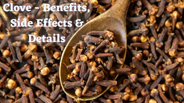 Clove – Benefits, Side Effects & Details